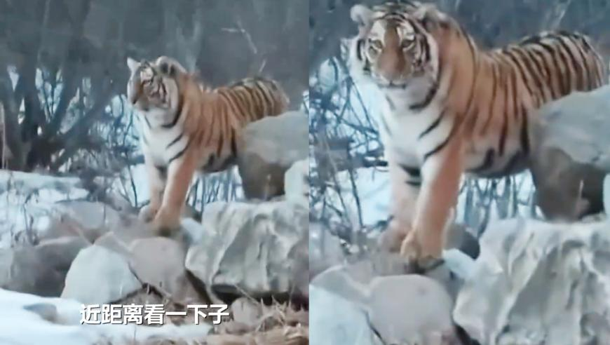 新澳门六合资料大全正版资料2025年免费下载,李昊：不回去种地会死,详细释义解释落实_静态版V13.79