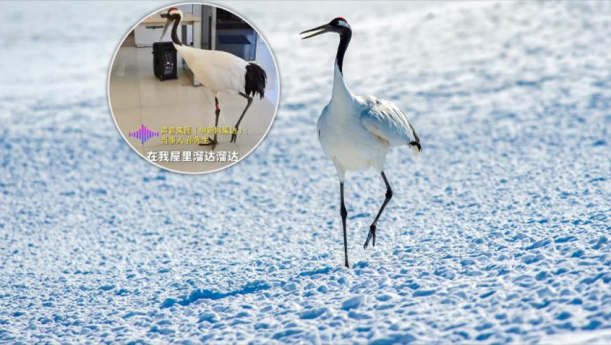 管家婆水心资料免费大全,杭州集中挂牌8宗宅地,最新正品解答落实_内测版V13.50